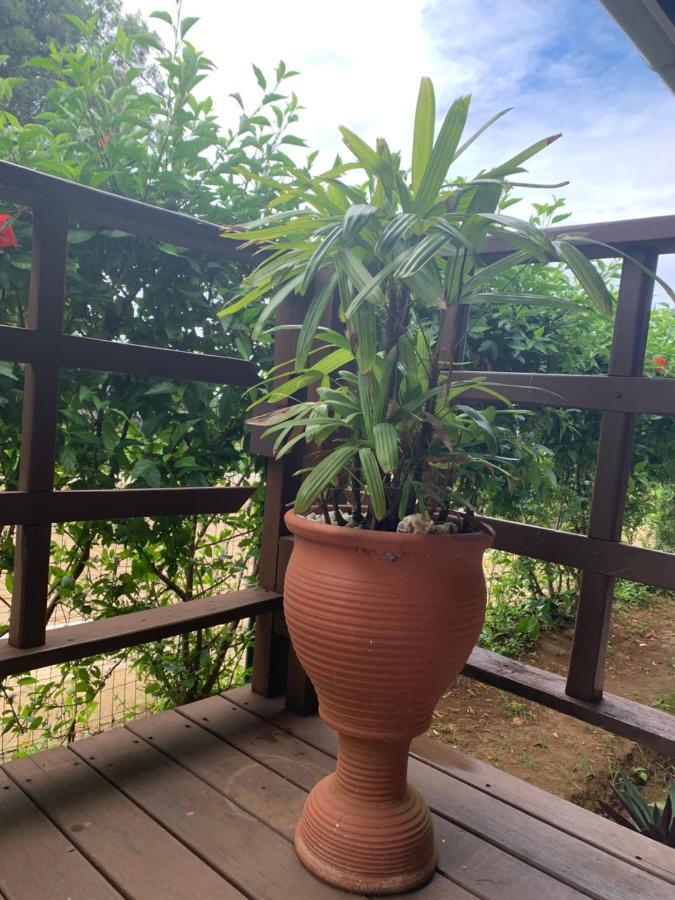 Pousada Ventos Da Atalaia Fernando de Noronha Exterior foto
